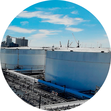 SAIM Downtime Projection